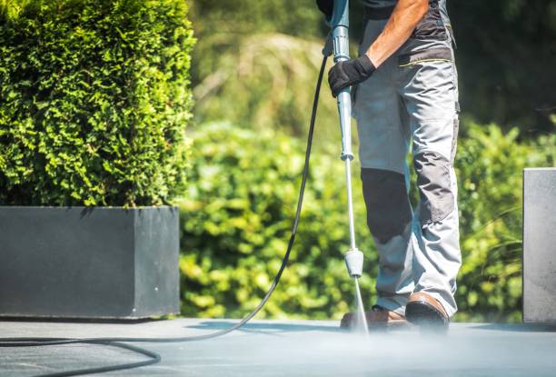 Best Fleet Vehicle Washing  in Junction City, CA