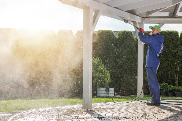Best Sidewalk and Walkway Cleaning  in Junction City, CA