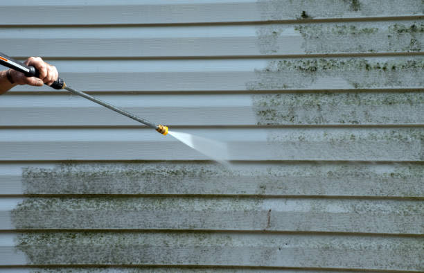 Best Solar Panel Cleaning  in Junction City, CA