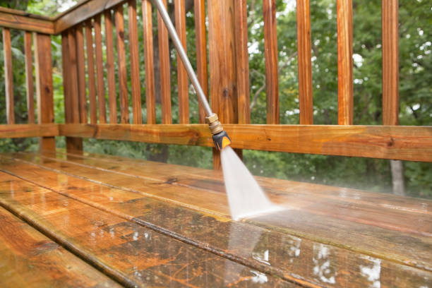 Animal Enclosure Cleaning in Junction City, CA